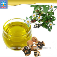 camellia oil press machine, tea oil processing machine